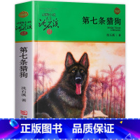 [正版]第七条猎狗沈石溪动物小说全集系列全套单本 小学生课外阅读书籍三四五六年级必读3-4-6班主任7-8-10-12-