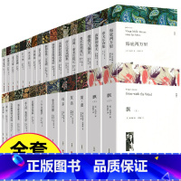 全套 [正版]全30册 世界三十大名著书籍全套原著无删减 外国经典文学 老师初中生高中生必读阅读课外书 原版中文版小说畅