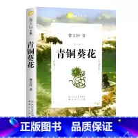 青铜葵花 [正版]任选草房子曹文轩著系列精品集 全套青铜葵花原著完整版人民文学五年级必读课外书儿童集课外阅读书籍名著丛书