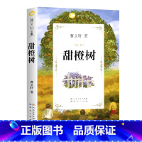 甜橙树 [正版]任选草房子曹文轩著系列精品集 全套青铜葵花原著完整版人民文学五年级必读课外书儿童集课外阅读书籍名著丛书小