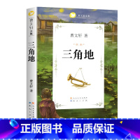 三角地 [正版]任选草房子曹文轩著系列精品集 全套青铜葵花原著完整版人民文学五年级必读课外书儿童集课外阅读书籍名著丛书小