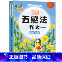 五感法作文 素材积累 小学通用 [正版]全3册 情景五感法写作文三到六年级五感法写作方法技巧二三四五年级上册下册同步作文