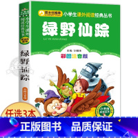 绿野仙踪 [正版]一园青菜成了精绘本注音版 一年级阅读课外书必读老师经典书目 儿童读物童话故事书籍一团一元子成精了拼音版