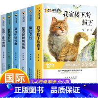 [正版]全6册百年经典儿童文学名家名作系列我家楼下的猫王魔法学校小学生课外阅读书籍三四五六年级课外书必读经典书目8-10