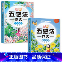 (全2本)五感法作文 素材积累+范文精讲 小学通用 [正版]全3册 情景五感法写作文三到六年级五感法写作方法技巧二三四五