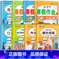 [特惠全8册]寒假专项全套+寒假作业 小学五年级 [正版]寒假阅读 28天养成好习惯 五年级阅读课外书必读阅读理解专项训