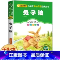 兔子坡 [正版]宝葫芦的秘密二三年级必读 注音版带拼音 小学一年级阅读课外书上册下册下学期 张天翼原著完整版宝芦葫 小学