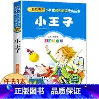 小王子 [正版]宝葫芦的秘密二三年级必读 注音版带拼音 小学一年级阅读课外书上册下册下学期 张天翼原著完整版宝芦葫 小学