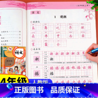 同步练字帖 四年级上 [正版]老师四年级上册同步字帖练字帖人教版4年级上学期生字抄写本语文写字课课练每日一练