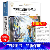 [正版]爱丽丝漫游奇境 六年级老师 爱丽丝漫游奇境记原著书下必读课外书 爱丽丝梦游仙境下册 课外阅读书籍