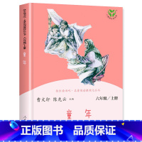 [六年级上-人教版]童年 [正版]童年 高尔基原着人民教育出版社六年级上册必读课外书人教版高尔基的童年书语文配套
