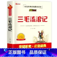 三毛流浪记 [正版]鸡毛信全集三年级必读课外书 小学生红色经典传统教育读本文学丛书儿童读物故事书适合四五六年级阅读书籍的