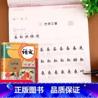 五年级下册 [正版]老师五年级下册语文同步字帖人教版练字帖下学期5年级下
