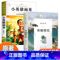 [2本]青铜葵花+小英雄雨来 [正版]青铜葵花完整版原版曹文轩系列儿童文学8-12岁小学生课外阅读书籍必读草房子芦花鞋人