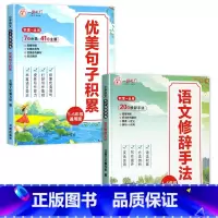 [2本]优美句子积累+修辞手法 小学通用 [正版]全套4册 小学语文优美句子积累大全作文素材小学生一年级二年级三年级四年