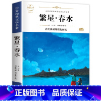繁星春水 [正版]寄小读者 繁星春水 小桔灯 冰心散文集 3册四年级必读课外书 小学4年级课外阅读书籍 精选儿童文学全集