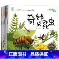 幼儿科普绘本 [正版]幼儿园阅读科普绘本老师经典必读儿童3一6幼儿故事书适合3-4到5岁以上图书小班中班大班三四岁的宝宝