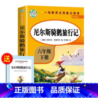 尼尔斯骑鹅旅行记 [正版]全套3册 鲁滨逊漂流记六年级下册必读的课外书原着爱丽丝漫游奇境尼尔斯骑鹅旅行记老师书目快乐读书