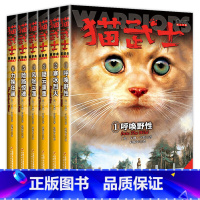 猫武士首部曲(全6册) [正版]猫武士全套 猫武士7部曲首部曲一部曲二部曲三部曲四部曲五部曲六部曲七部曲