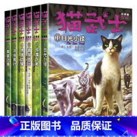 猫武士五部曲(全6册) [正版]猫武士全套 猫武士7部曲首部曲一部曲二部曲三部曲四部曲五部曲六部曲七部曲