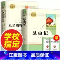 [八年级上必读2册]昆虫记+红星照耀中国 [正版]昆虫记和红星照耀中国共2册八年级上册必读的课外书原著人教版完整版人民教