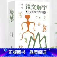 [正版]说文解字许慎小学生幼儿学习汉字演变图解象形文字书字典给孩子的汉字王国一年级二三年级读物甲骨文字的演变注咬文嚼字合