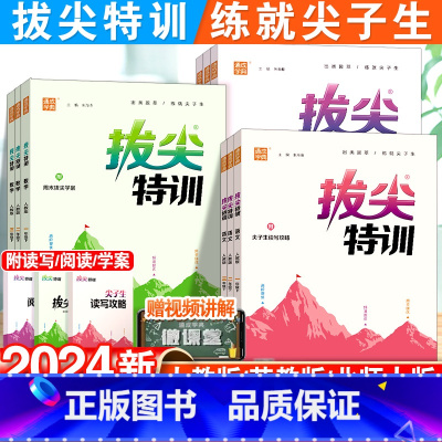 [拔尖]语文+数学+英语·人教版-3本套 二年级上 [正版]2024新版小学拔尖特训一年级二年级三四五六年级语文数学英语