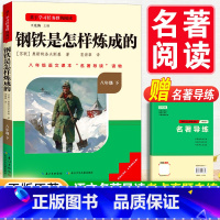 [赠名著导练]钢铁是怎样炼成的 [正版]钢铁是怎样炼成的和经典常谈朱自清原著八年级下册课外书阅读名著必完整版人教版老师给