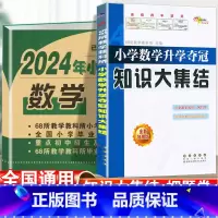 [数学]知识大集结+真题卷-2本套 小学通用 [正版]2024小升初知识大集结小学语文数学英语升学夺冠基础重点知识大全通