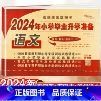 小学毕业升学卷·语文 小学通用 [正版]2024小升初知识大集结小学语文数学英语升学夺冠基础重点知识大全通用版人教版六年