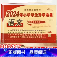 小学毕业升学卷·语文 小学通用 [正版]2024小升初知识大集结小学语文数学英语升学夺冠基础重点知识大全通用版人教版六年