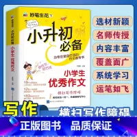 小升初优秀作文 小学通用 [正版]2024小升初知识大集结小学语文数学英语升学夺冠基础重点知识大全通用版人教版六年级毕业