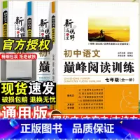 [国一]语文-巅峰阅读训练 初中通用 [正版]初中语文巅峰阅读训练国一八九年级现代文阅读理解答题模板人教版初一初二初三阅
