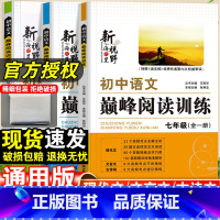 [九年级/中考 2本套]巅峰阅读训练+中考现代文阅读答题公式 初中通用 [正版]初中语文巅峰阅读训练国一八九年级现代