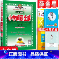 6年级·全一册 小学升初中 [正版]2024薛金星小升初毕业总复习全解语文数学英语全套必刷题人教版小学毕业升学知识大全小