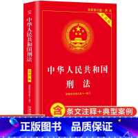 中华人民共和国刑法 [正版]全新 新版中华人民共和国民法典+刑法实用版法律常识 案例注释 看得懂学得会用得上的法律指南