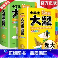 [正版]2023小学生大成语词典大英语词典小学多功能大全1-6年级彩色图案版全功能字典英汉汉英双解互译小词典词汇语法单字