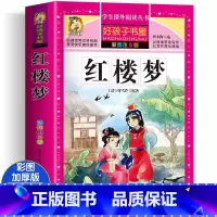 红楼梦 [正版]四大名着小学生版注音版全套4册 西游记三国演义水浒传红楼梦原着儿童版带拼音青少年版小学生课外阅读书籍幼儿