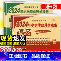 小学毕业升学卷·语数-2本套 小学升初中 [正版]2024小升初试卷真题卷语文数学英语必刷题人教版小学毕业系统总复习资料