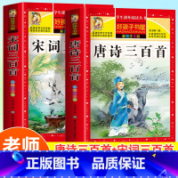 [全2册]唐诗三百首+宋词三百首 [正版]老师唐诗三百首完整版幼儿早教全解详注全集2册宋词三百首注音版儿童版一年级二年级