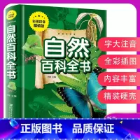 [正版]自然百科全书注音版书籍 彩色图案 探索自然奥秘大百科百科读物全套科学认知启迪思维小学生课外书 7-岁儿童图书 金