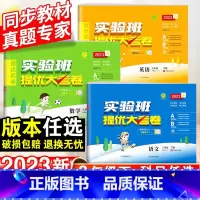 语文+数学·人教版 三年级下 [正版]2023实验班提优大考卷小学三年级下册语文数学英语全套人教版苏教版北师版同步训练练