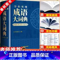 [正版]2023年成语大词典小学初中生高中生字典辞典通用现代多功能大成语词典中华成语训练大全2022新版小学生汉语词典工