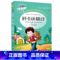 童年.在人间.我的大学 [正版]绿野仙踪三四年级课外书必读老师的快乐读书吧木偶奇遇记二年级上册下册课外阅读书籍秘密花园绿