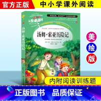 汤姆索亚历险记 [正版]绿野仙踪三四年级课外书必读老师的快乐读书吧木偶奇遇记二年级上册下册课外阅读书籍秘密花园绿山墙的安