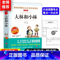大林和小林 [正版]老师力荐汤姆索亚历险记爱阅读快乐读书吧小学生语文课外自主阅读书三四五六年级文学名著阅读六年级下册儿童