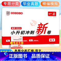 [备考2024]语文 小学升初中 [正版]2024小升初冲刺新卷语文数学英语小升初总复习试卷升学冲刺卷名校冲刺历年真题试