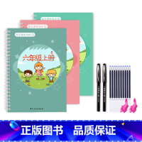六年级上册/3本 [正版]一年级二年级三年级上册下册语文同步练字帖凹槽四五六人教版小学生每日一练硬笔书法楷书练字本笔画笔