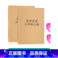 六年级上下册生字组词[人教版同步] [正版]六年级上册下册生字组词练字帖小学生语文拼音描红同步楷书字帖儿童笔画笔顺偏旁部