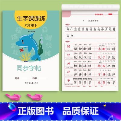 六年级下册(1本46页) [正版]一年级二年级三上册下册同步练字帖临摹字帖练字本语文人教版正楷四五六年级小学生硬笔书法儿